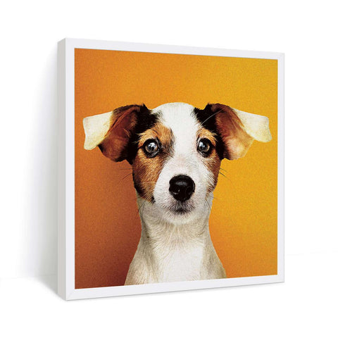 Cute Artwork of Dog on Yellow Orange background in White frame